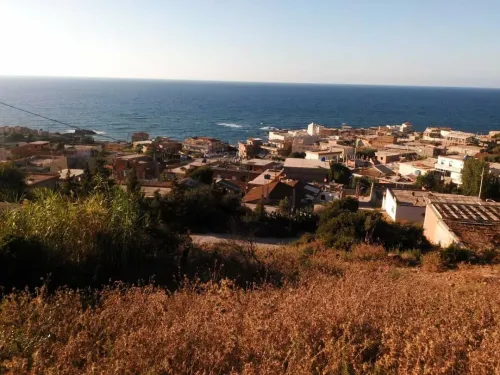 Vente Terrain El Tarf El kala