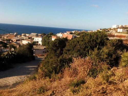 Vente Terrain El Tarf El kala
