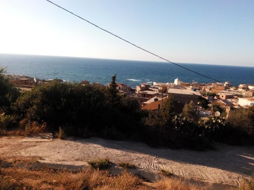 Vente Terrain El Tarf El kala