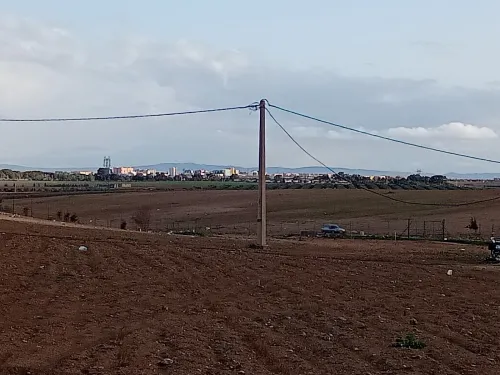 Vente Terrain Agricole Sidi Bel Abbès Ain thrid