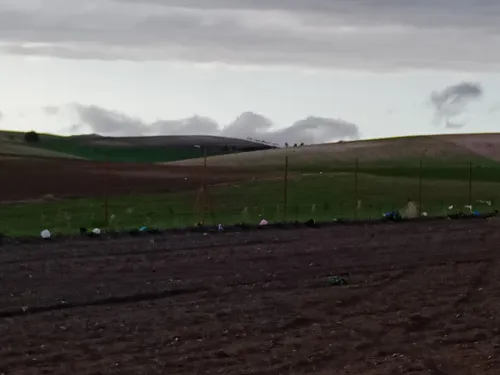 Vente Terrain Agricole Sidi Bel Abbès Ain thrid