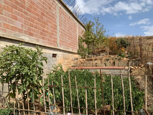Vente Carcasse Mila Sidi khelifa
