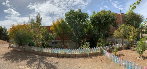 Vente Carcasse Mila Sidi khelifa