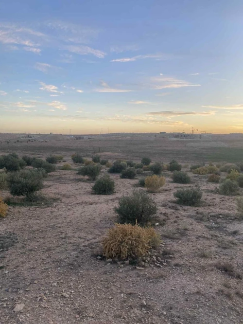 Vente Terrain Djelfa Djelfa