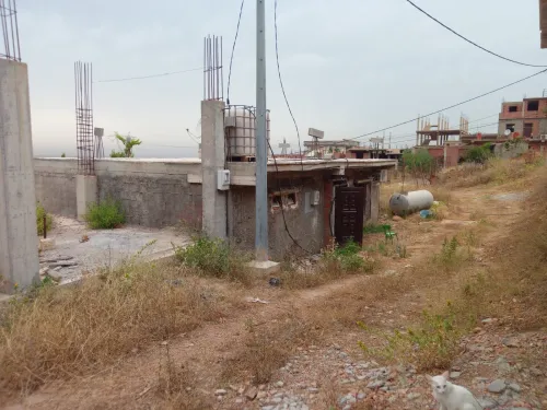Vente Terrain Blida Hammam melouane