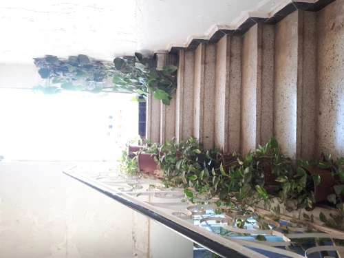 Vente Villa Blida Soumaa