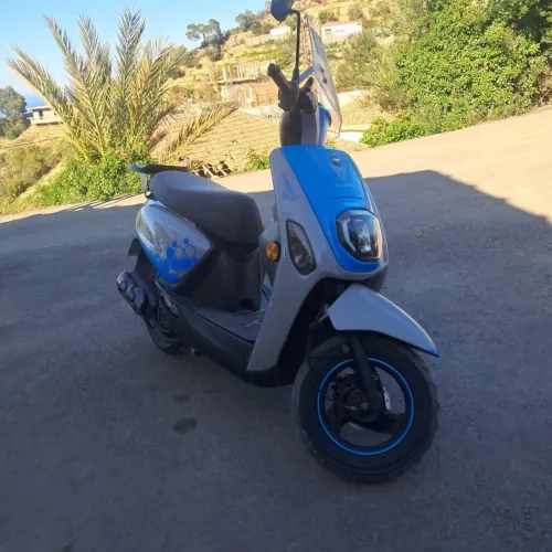 Vms Cuxi estate x 2022