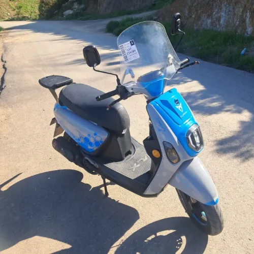 Vms Cuxi estate x 2022