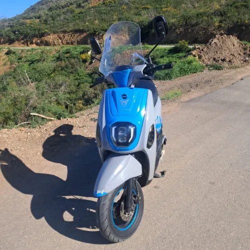 Vms Cuxi estate x 2022