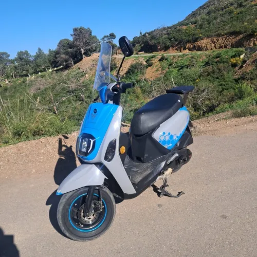 Vms Cuxi estate x 2022