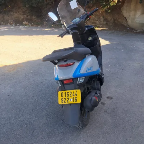 Vms Cuxi estate x 2022