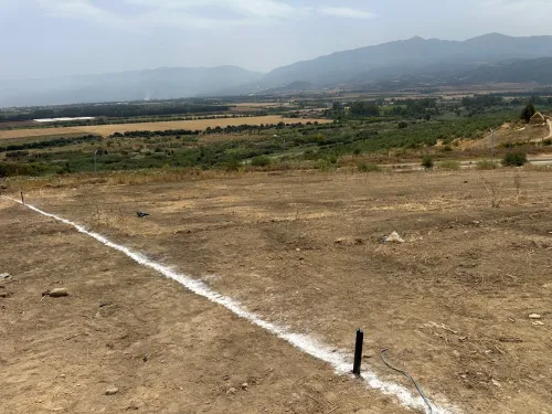Vente Terrain Blida El affroun