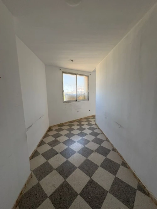 Location Local Alger Zeralda