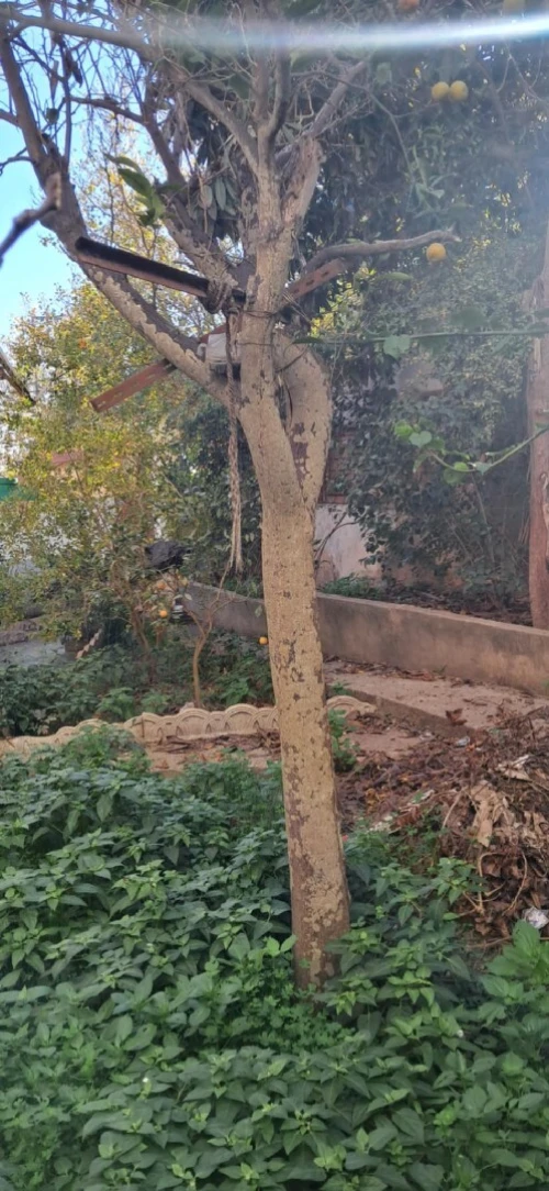 Vente Villa Alger Hussein dey