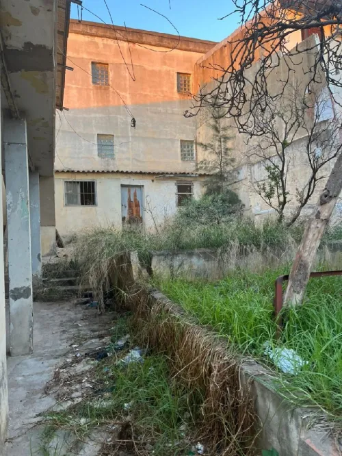 Vente Terrain Alger Birkhadem
