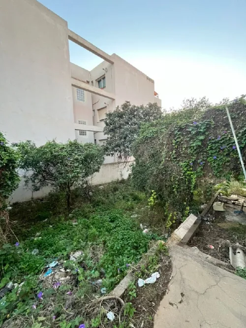 Vente Terrain Alger Birkhadem