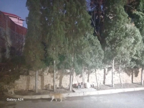 Vente Villa Alger Birkhadem