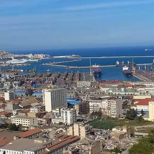 Vente Terrain Alger Hussein dey