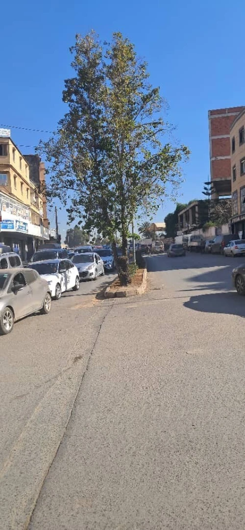 Vente Terrain Alger Ain naadja