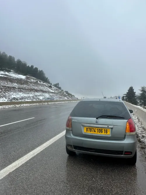 Fiat Palio 2006 Fire