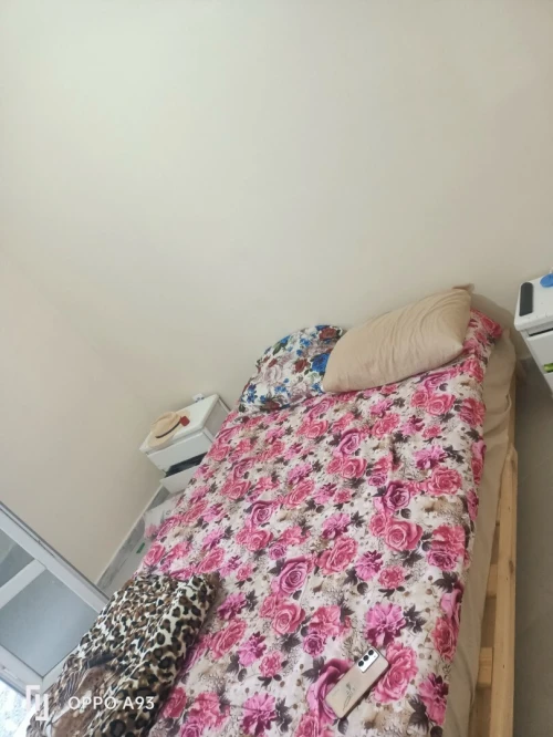 Location vacances Appartement Niveau de villa F3 Chlef Sidi abderrahmane