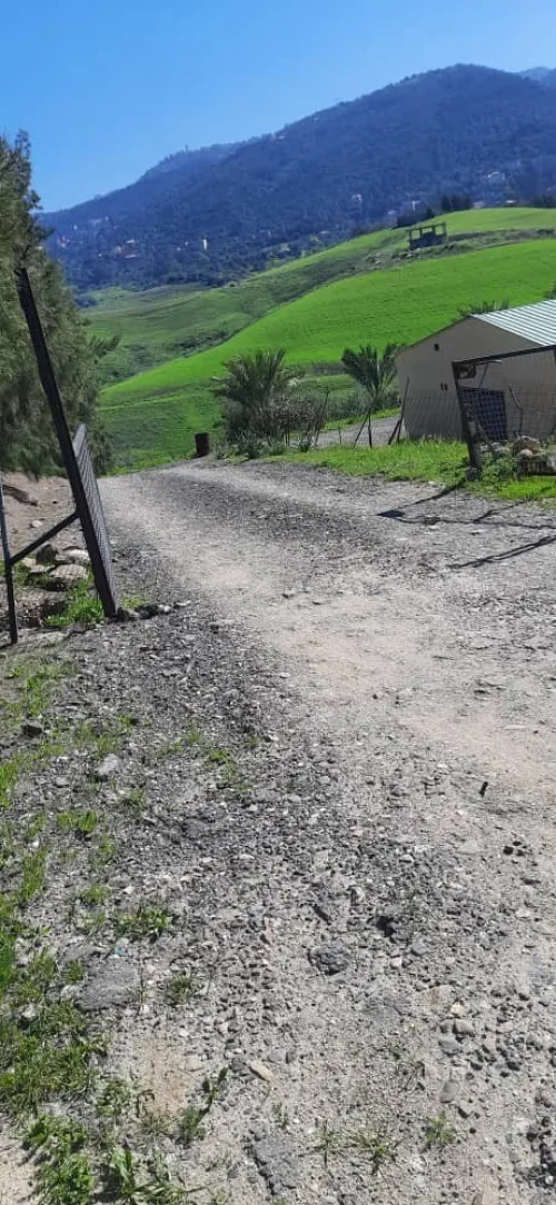 Location Hangar - Usine Tizi Ouzou Tirmitine
