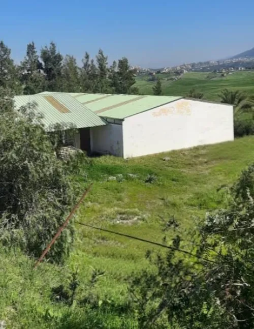 Location Hangar - Usine Tizi Ouzou Tirmitine