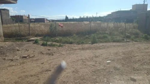 Vente Terrain Chlef Oued fodda