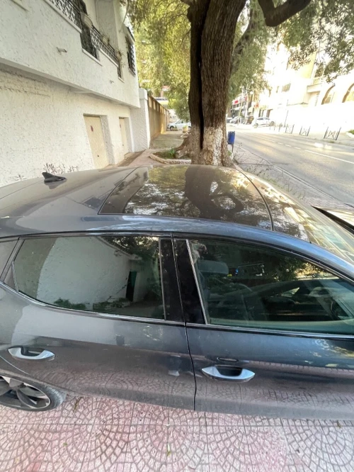 Seat Cupra  2024 V