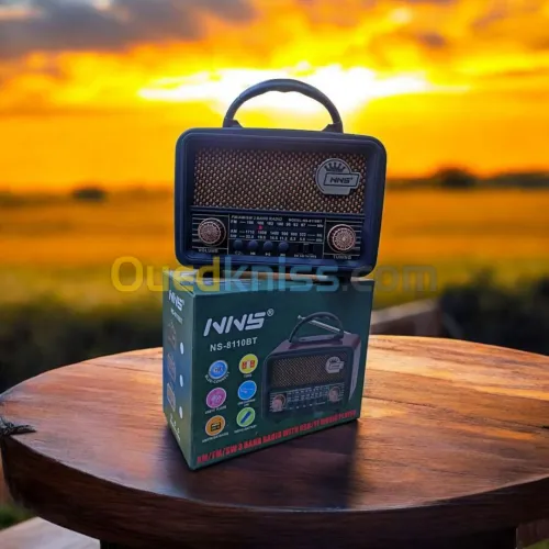 RADIO FM & BAFFLE BLUETOOTH NS-8110BT