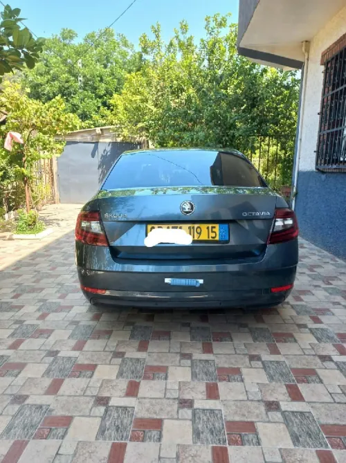Skoda Octavia 2019 Clever