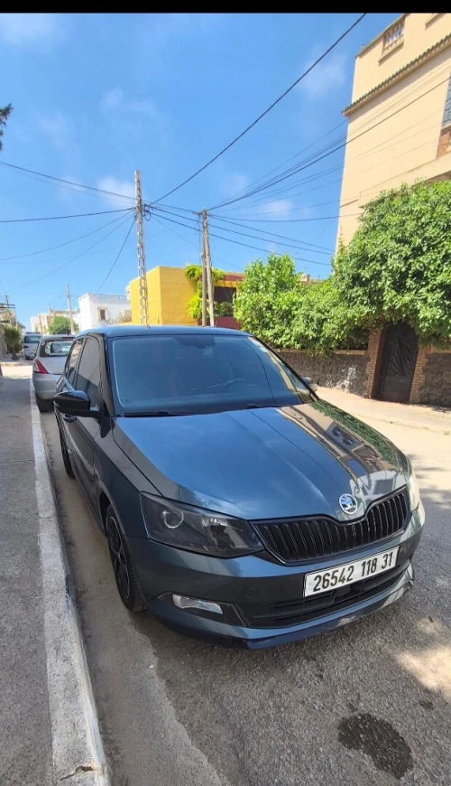 Skoda Fabia 2018 Monte Carlo