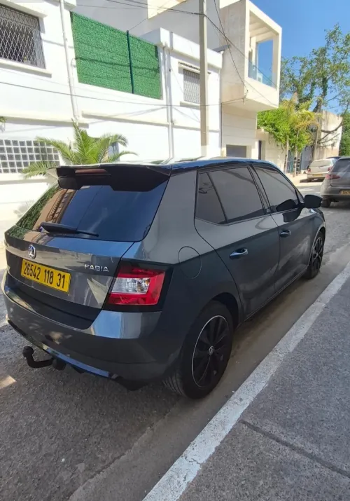 Skoda Fabia 2018 Monte Carlo