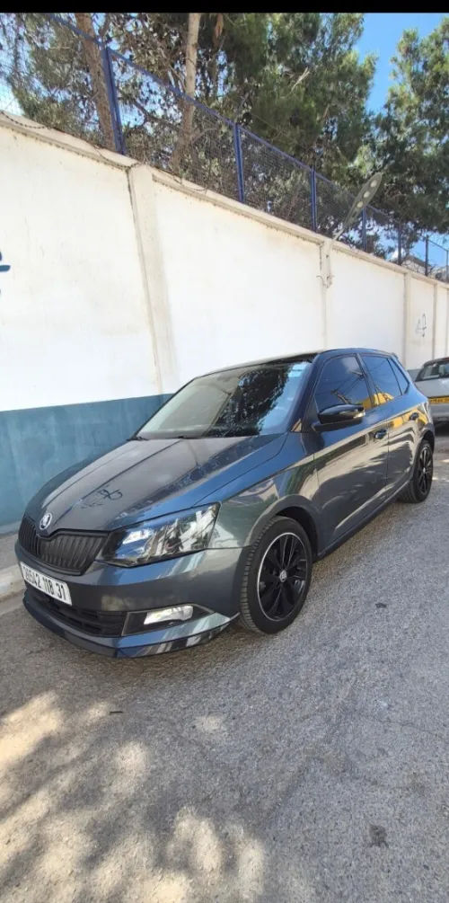 Skoda Fabia 2018 Monte Carlo