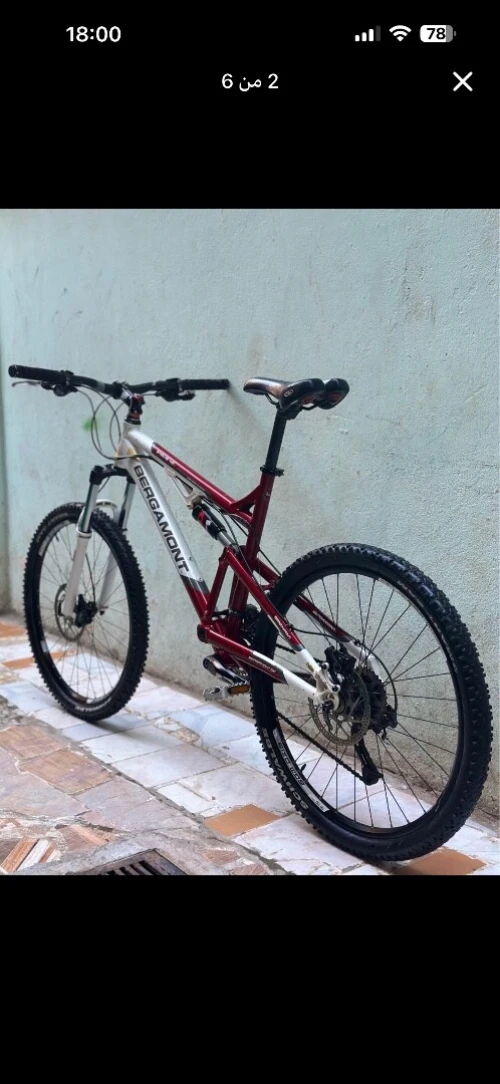 velo bergamont enduro