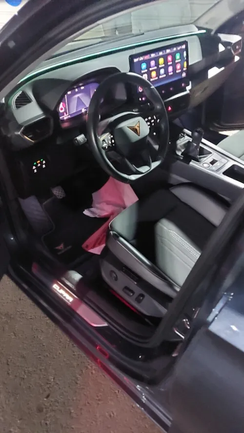Seat Cupra  2024 
