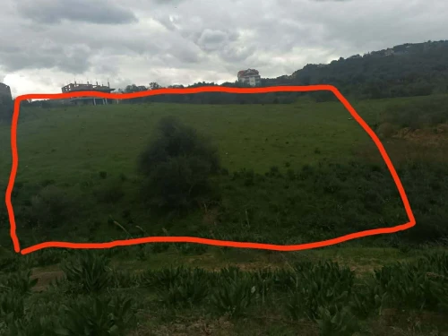 Vente Terrain Tizi Ouzou Draa ben khedda