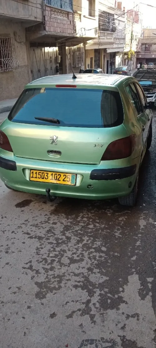 Peugeot 307 2002 307