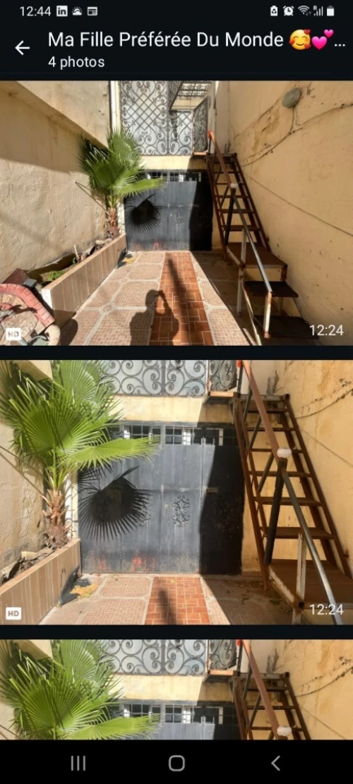 Location Local Alger Kouba