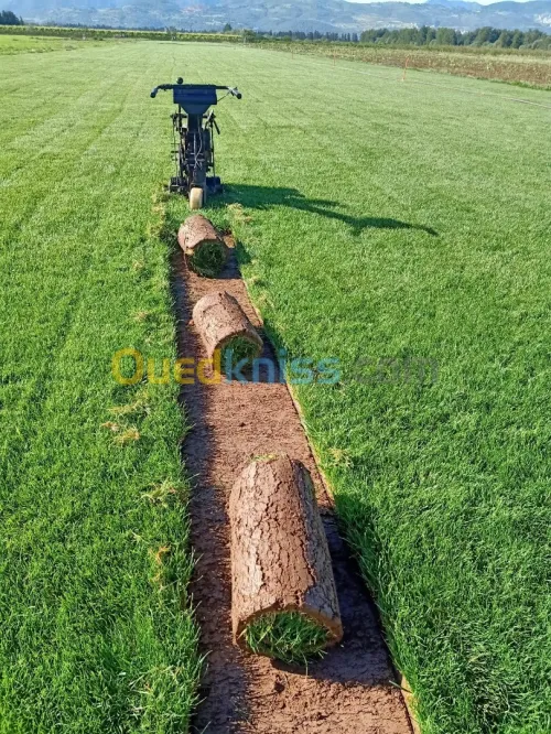 decoration des jardin