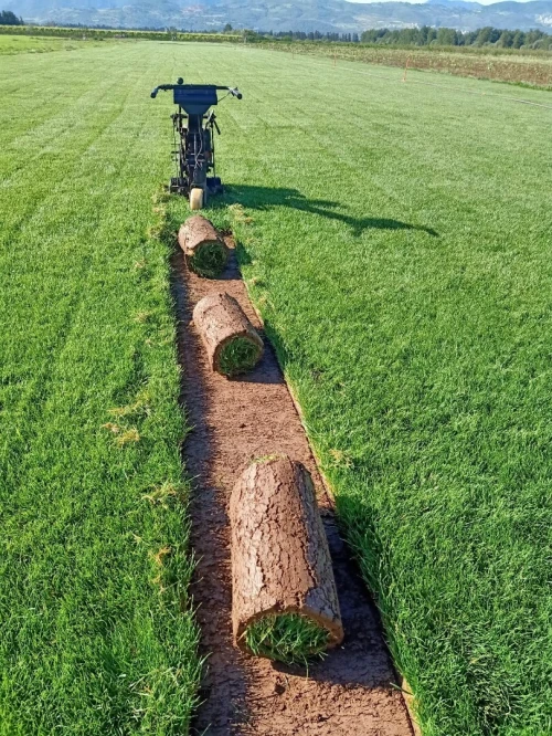 amenagement des espaces verts