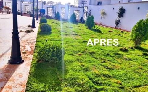 decoration des jardin