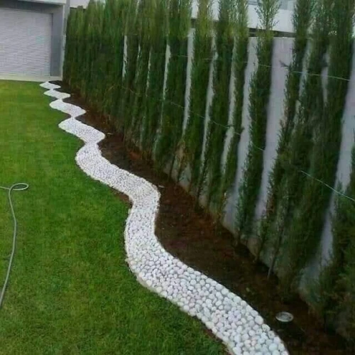 gazon naturel