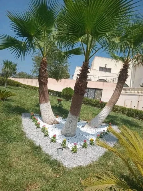 Jardinage