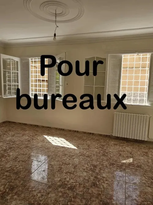 Location Appartement F3 Alger Kouba