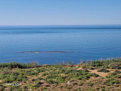 Location vacances Appartement F2 Tipaza Cherchell