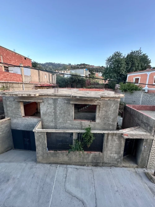 Vente Terrain Blida Blida