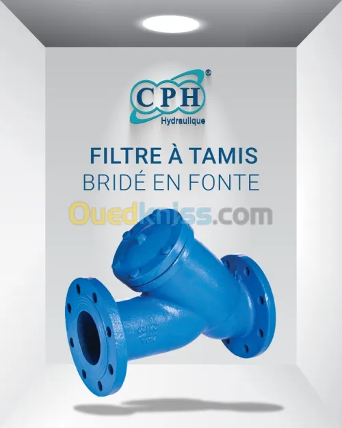 FILTRE À TAMIS BRIDÉ EN FONTE
