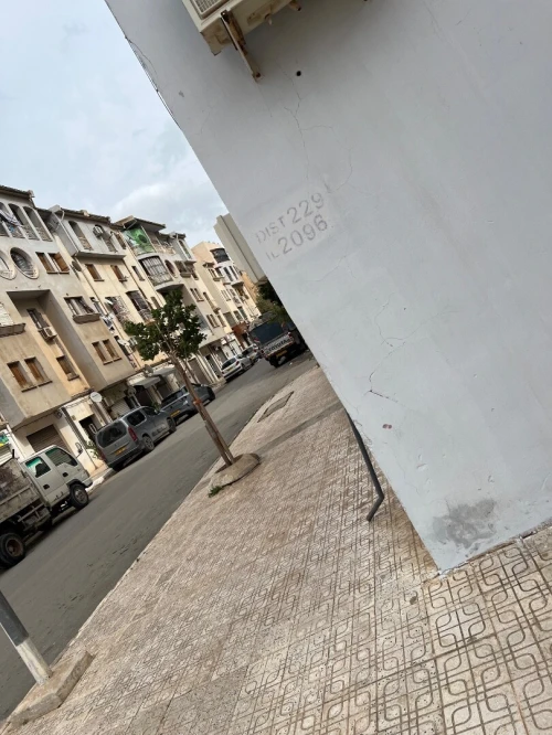 Location Local Sidi Bel Abbès Sidi bel abbes
