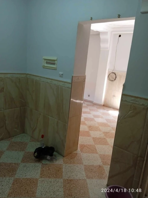 Location Niveau De Villa F3 Alger Reghaia